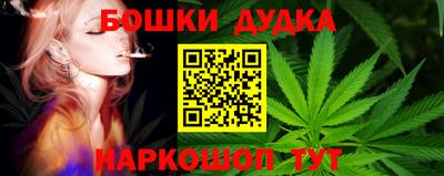 PSILOCYBIN Будённовск
