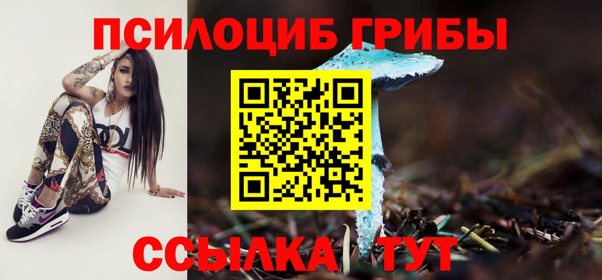 Галлюциногенные грибы прущие грибы  Вход с VPN  Тында  Галлюциногенные грибы мухоморы 